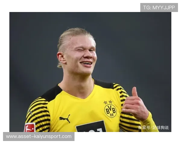 多特哈兰德连续抢点补射表现出极强统治力——一个前锋的自我锻造与球队体系的发声 多特哈兰德连续抢点补射表现出极强统治力——一个前锋的自我锻造与球队体系的发声