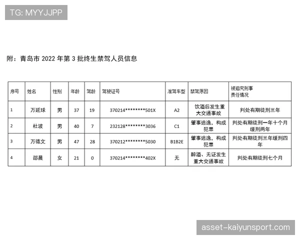 联盟季终奖惩分配透明化模型与公示样表